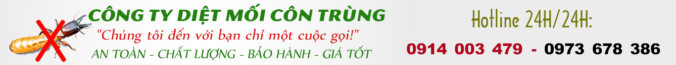 Diệt Mối Bình Định Tận Gốc  - 0914 003 479.